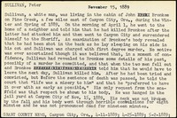 <span itemprop="name">Summary of the execution of Peter Sullivan</span>