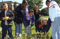 <span itemprop="name">The University at Albany's Kids Growing Food (KGF)...</span>