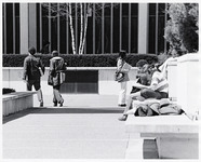 <span itemprop="name">A picture of unidentified students walking and...</span>