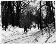 <span itemprop="name">A picture of students cross-country skiing in a...</span>