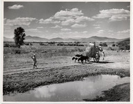 <span itemprop="name">Farmers walking in a field with an ox-cart pulling...</span>
