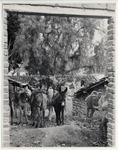 <span itemprop="name">A small boy standing among donkeys in the stables....</span>