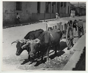 <span itemprop="name">An ox cart in the street with two ox and people...</span>