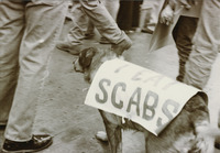 <span itemprop="name">A dog wearing a sign that reads "I eat scabs"...</span>