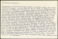 <span itemprop="name">Summary of the execution of William Fitzgerald</span>