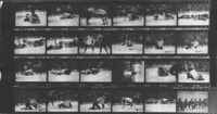 <span itemprop="name">A contact sheet with State University of New York...</span>