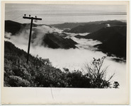 <span itemprop="name">Fog in a mountain valley with a telephone pole in...</span>