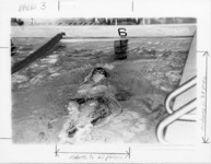 <span itemprop="name">A picture of a swimmer doing the backstroke in a...</span>