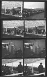 <span itemprop="name">A contact sheet containing images from the 1971...</span>
