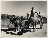 <span itemprop="name">A man and a young boy in a cart pulled by two...</span>