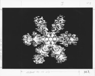 <span itemprop="name">Print of a snowflake as the State University of...</span>