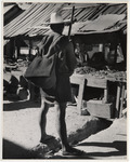 <span itemprop="name">The back of a man with a backpack and hat, holding...</span>