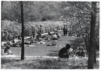 <span itemprop="name">Unidentified students studying outside in a...</span>