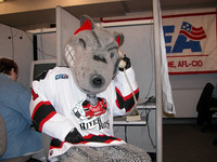 <span itemprop="name">The Albany River Rats' hockey team mascot, Rowdy,...</span>