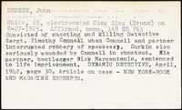 <span itemprop="name">Index Card Summary of Execution(s)</span>