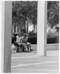 <span itemprop="name">Unidentified students and a dog on the Academic...</span>