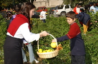 <span itemprop="name">The University at Albany's Kids Growing Food (KGF)...</span>
