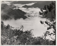 <span itemprop="name">Fog in a mountain valley with trees and shrubs in...</span>