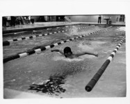 <span itemprop="name">A picture of a swimmer participating in a race. He...</span>