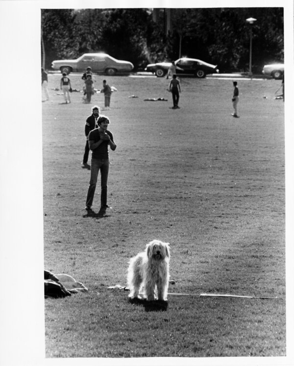 Image of a dog on the field with students playing baseball.